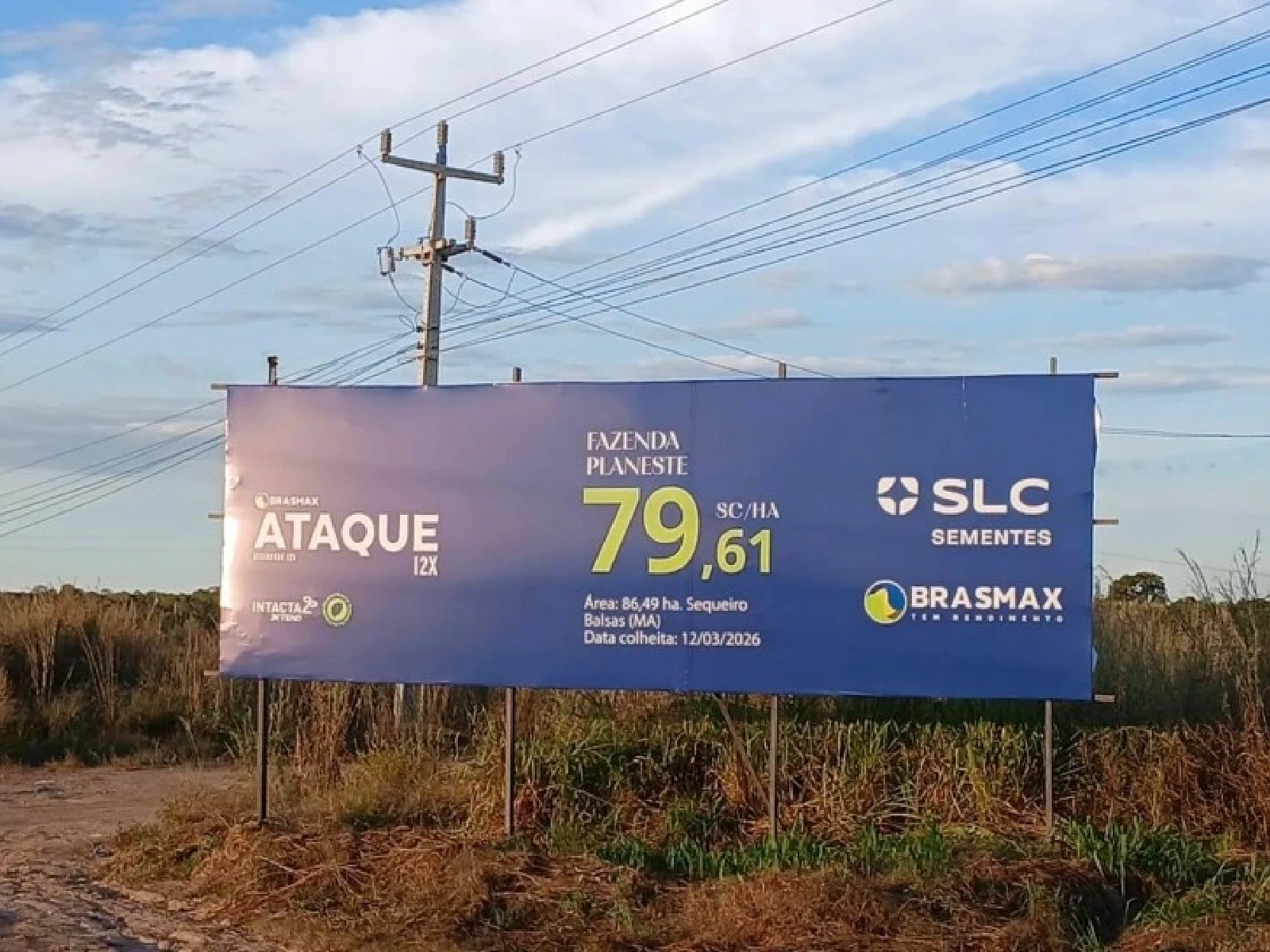 logos site ba-08